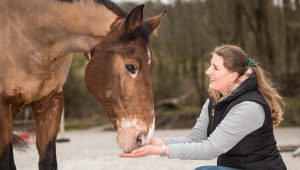 Claudia Grajek pferdegestuetztes Coaching